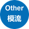 其他塑胶模流