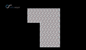 6.gif