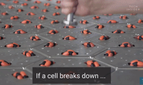 8.gif